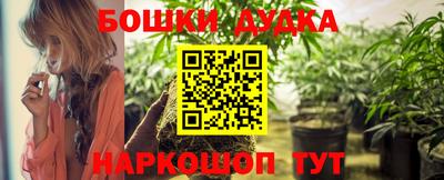 индика Пугачёв