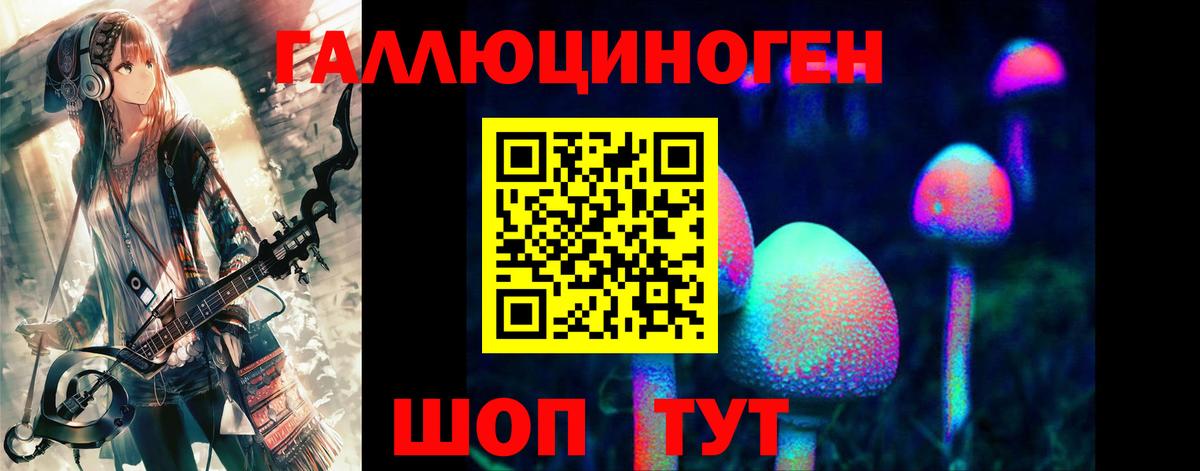 где продают   Вход с VPN  Пугачёв  Галлюциногенные грибы Cubensis 